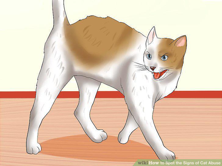 Step 8