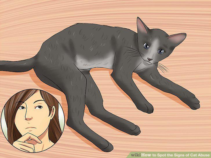 Step 10