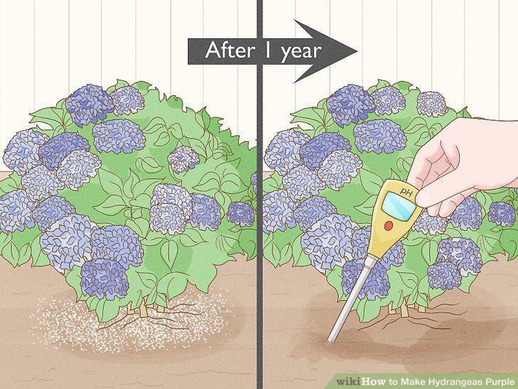 Step 11