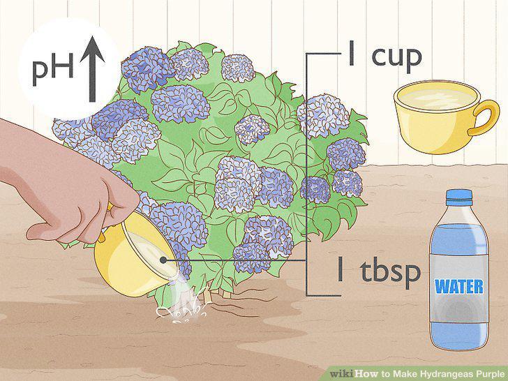 Step 9