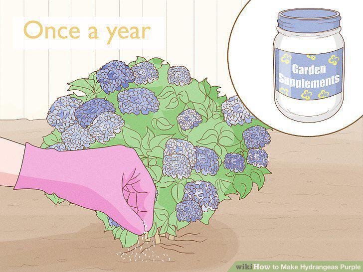 Step 10