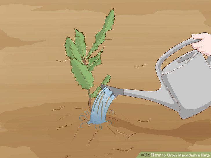 Step 11