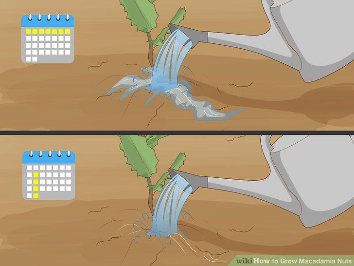 Step 12