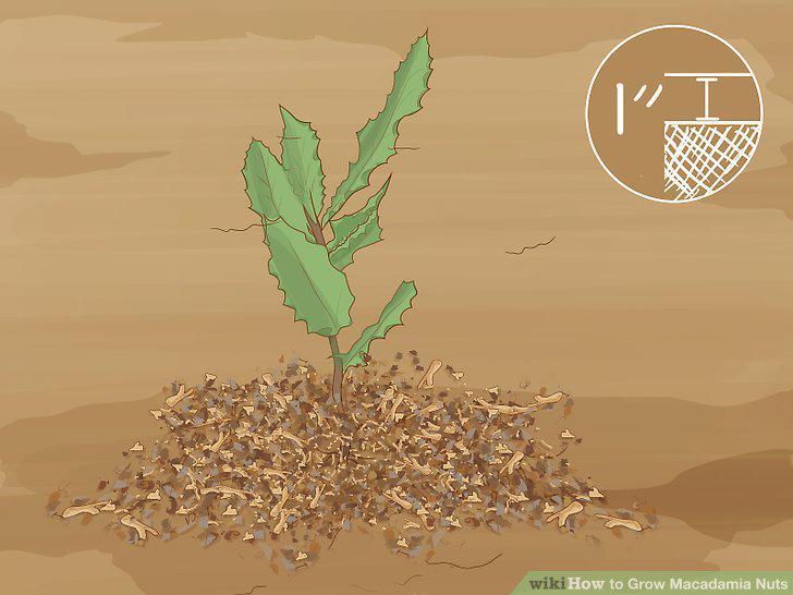 Step 13