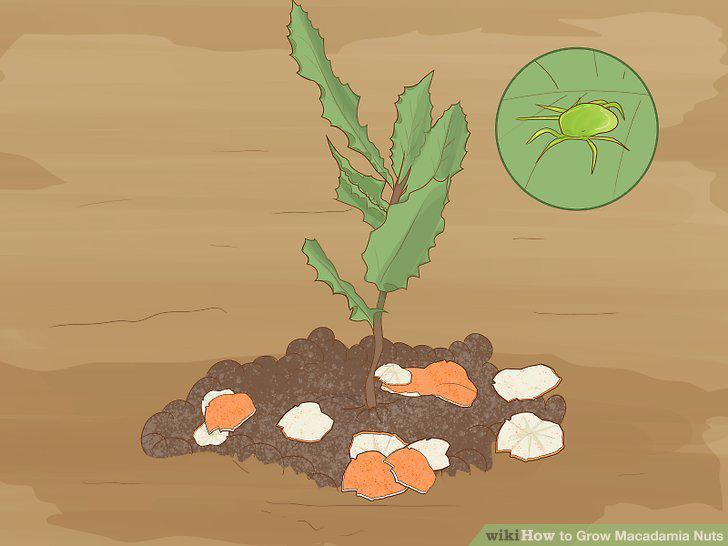 Step 15