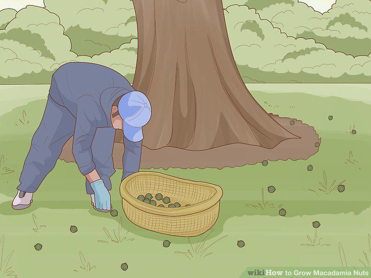 Step 16