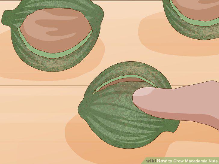 Step 17