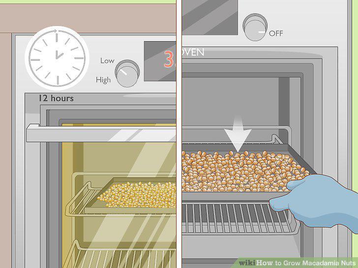 Step 20