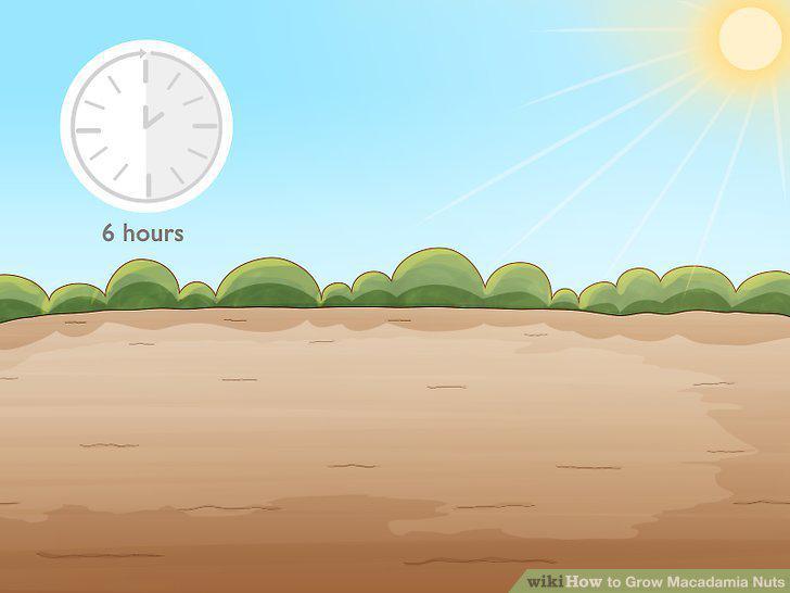 Step 4