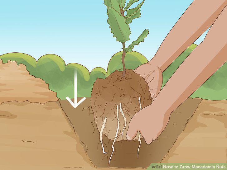 Step 9