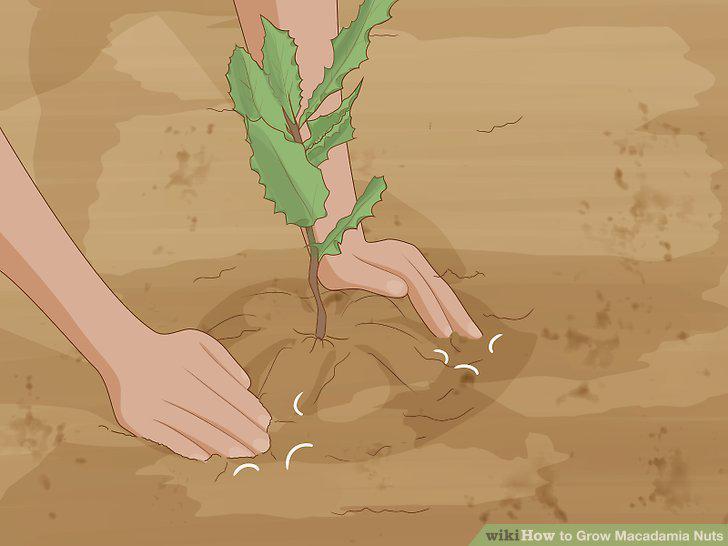 Step 10