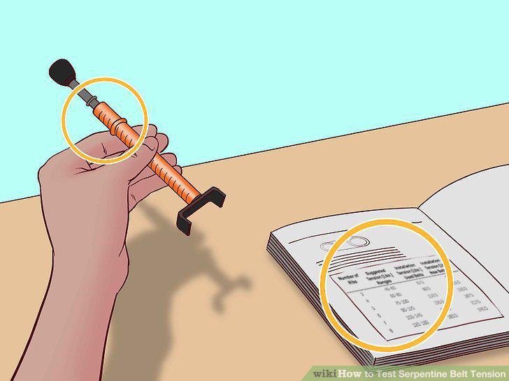 Step 15