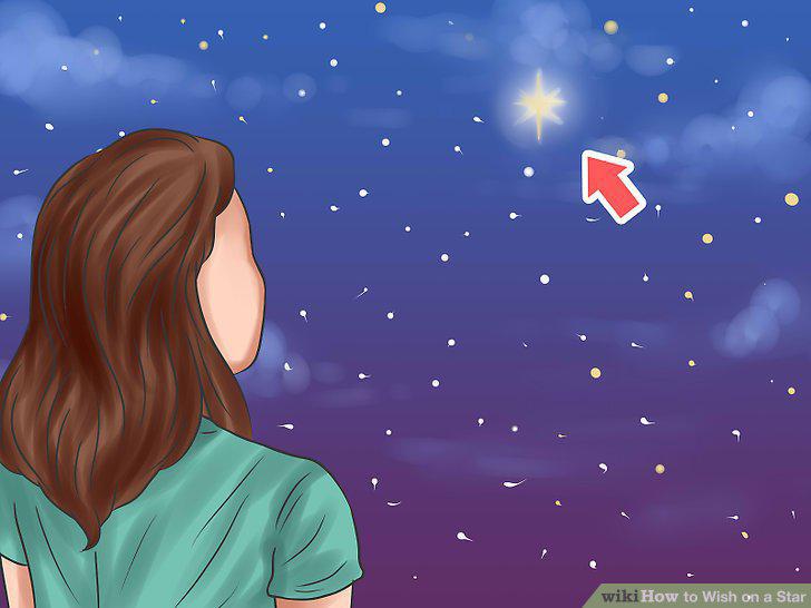 Step 11