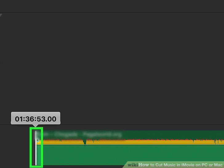 Step 13