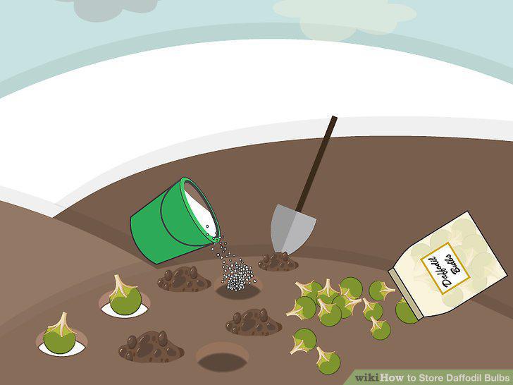 Step 10