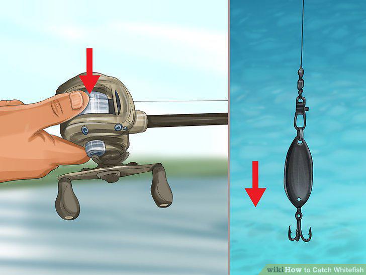 Step 11