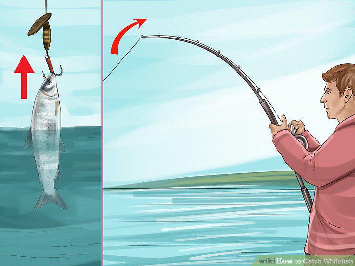 Step 15
