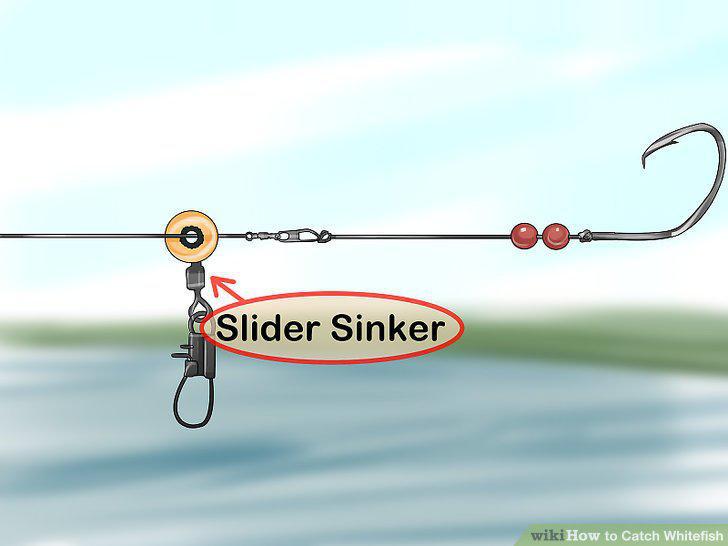 Step 5