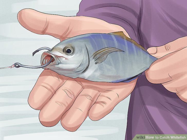 Step 7