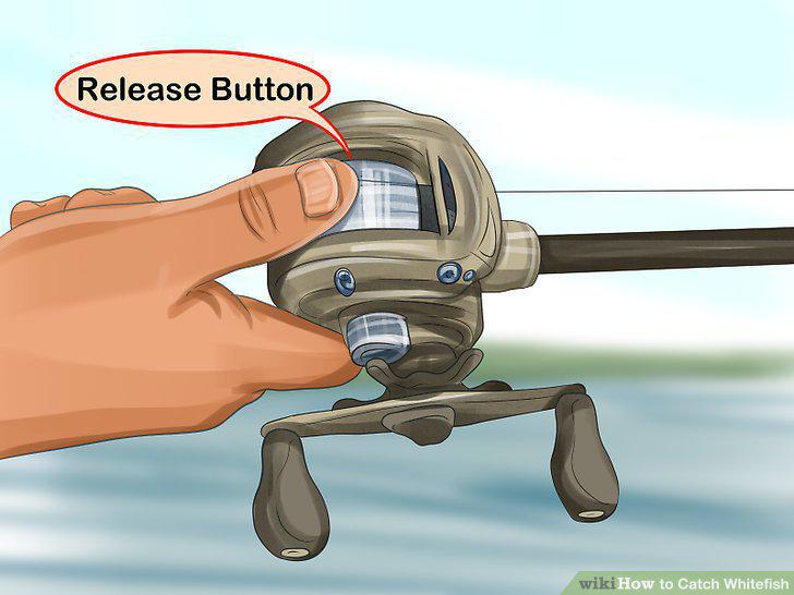 Step 10