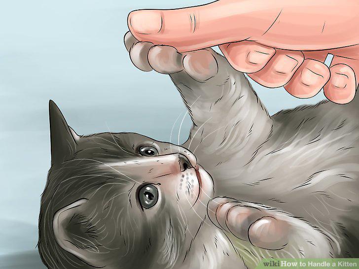Step 11