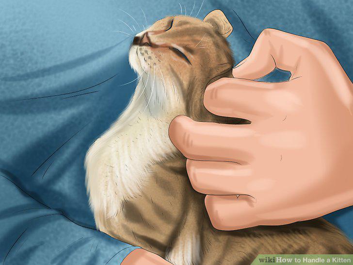 Step 12