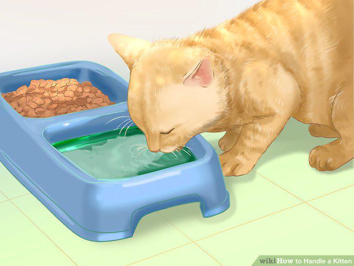 Step 15