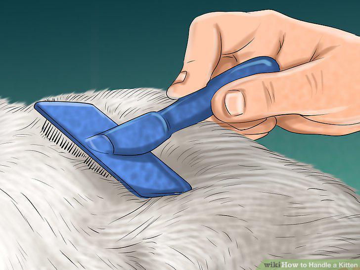 Step 16