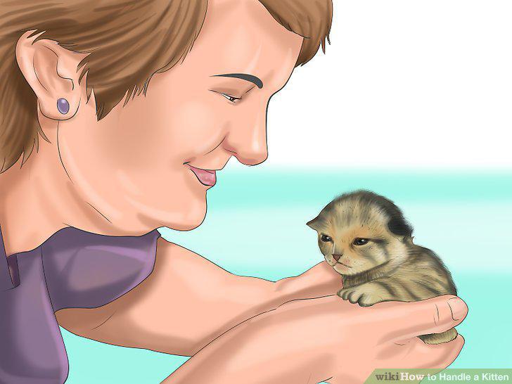 Step 17
