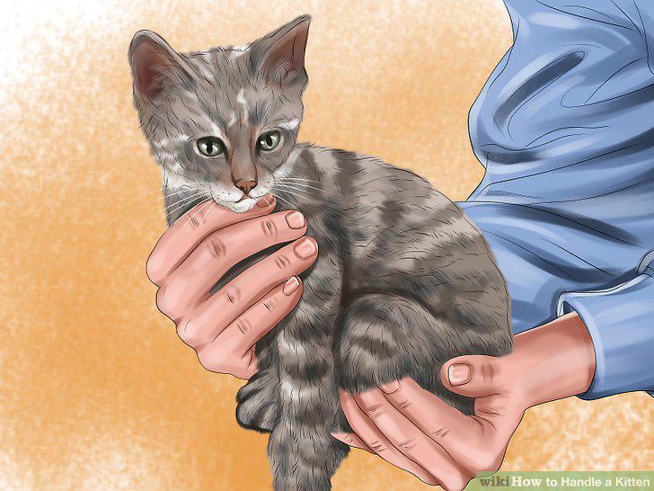 Step 5