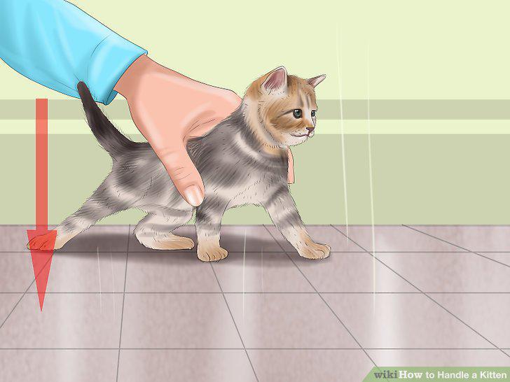 Step 7