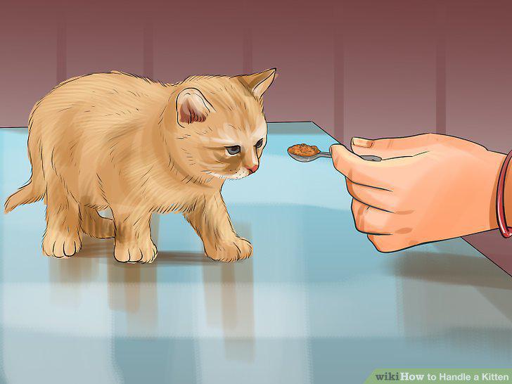 Step 10