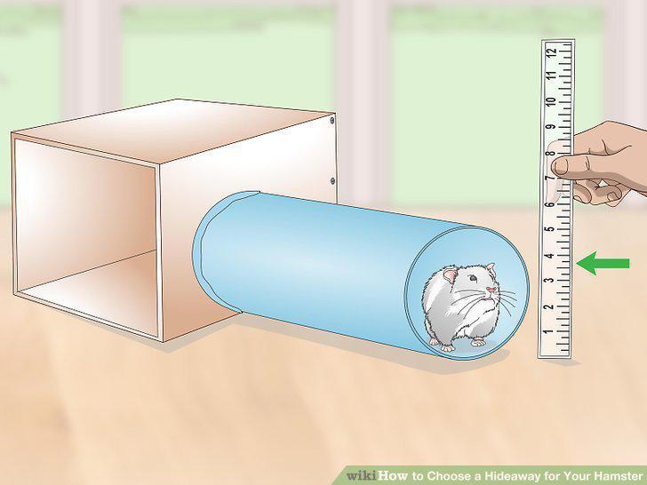 Step 11