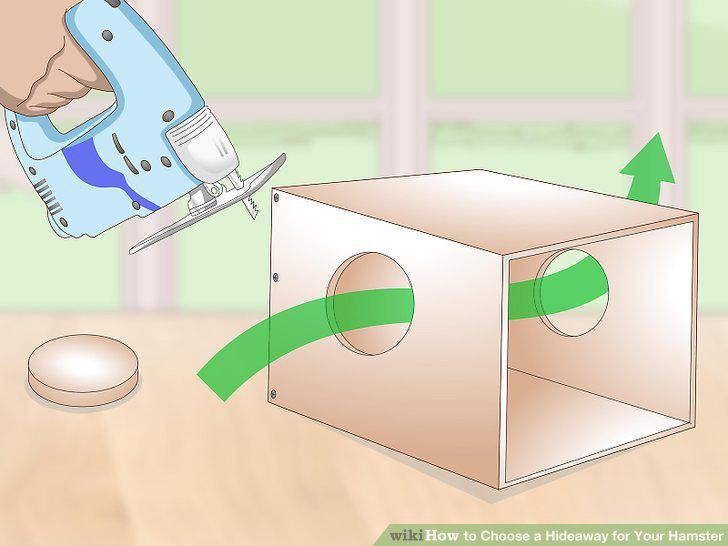 Step 12