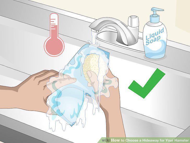 Step 13