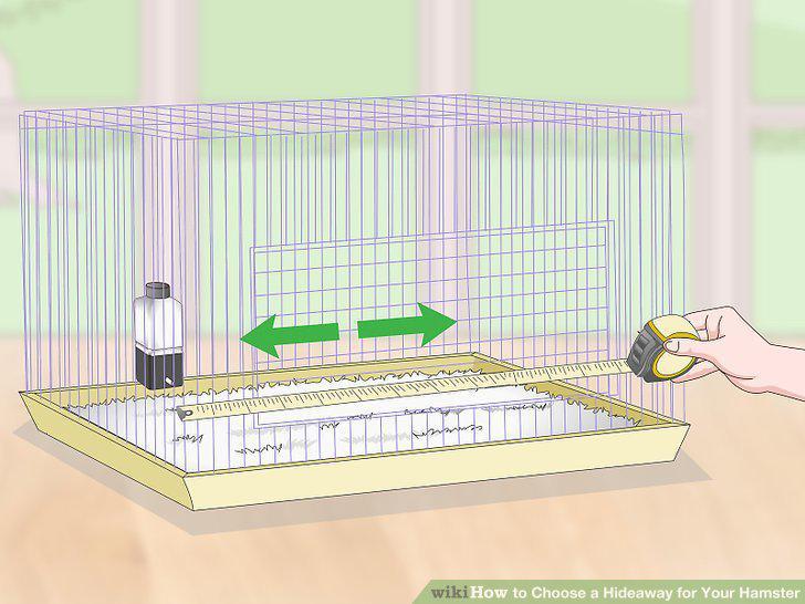 Step 5