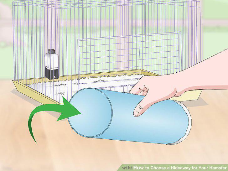 Step 6