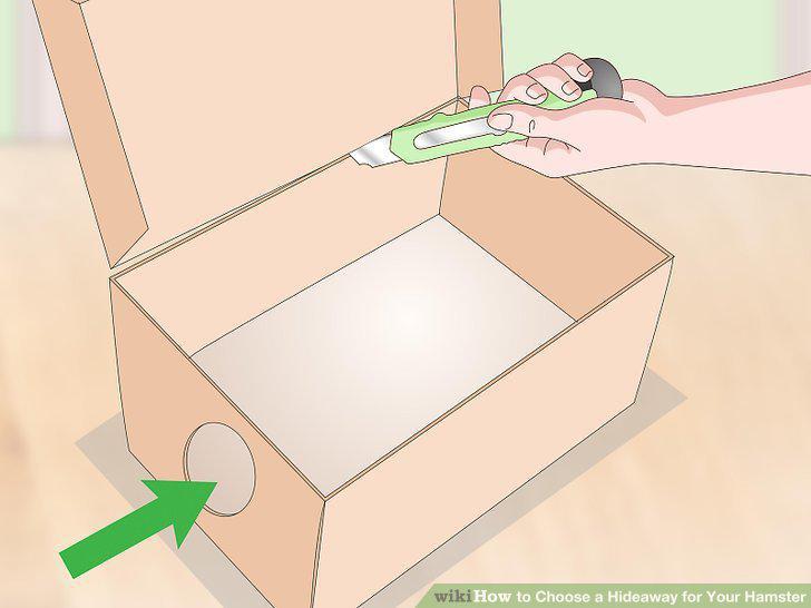 Step 7