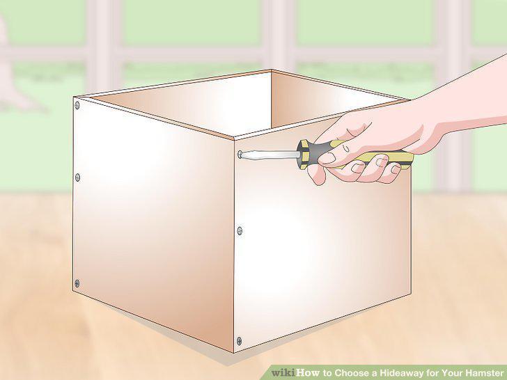 Step 8
