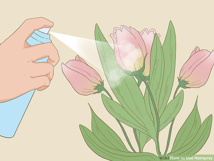 Step 12