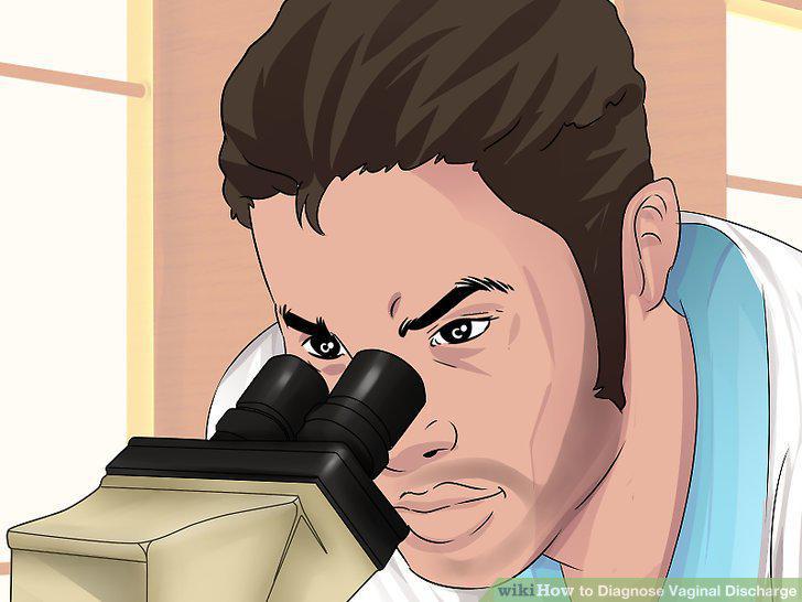 Step 12