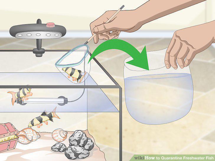 Step 5