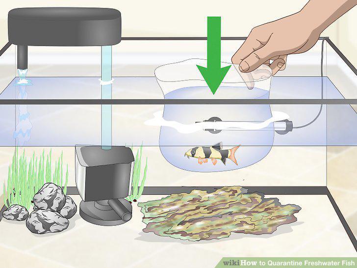 Step 6