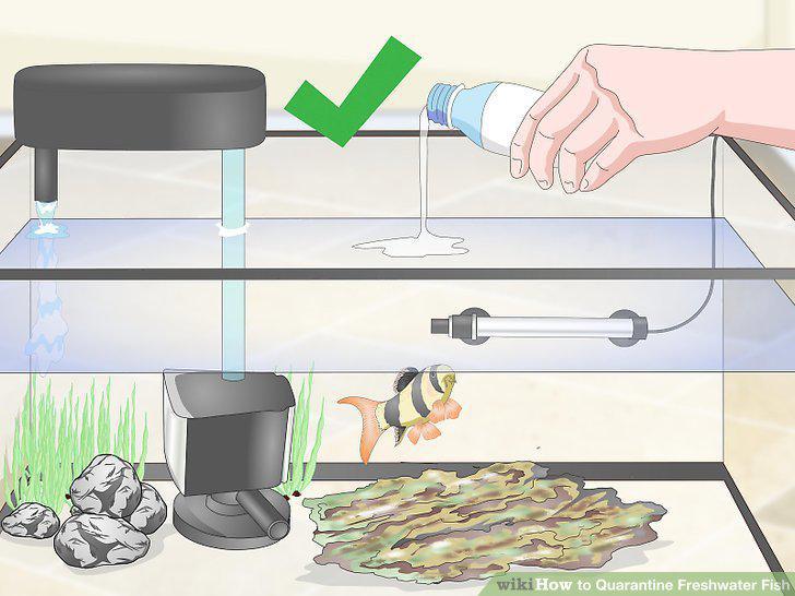 Step 8