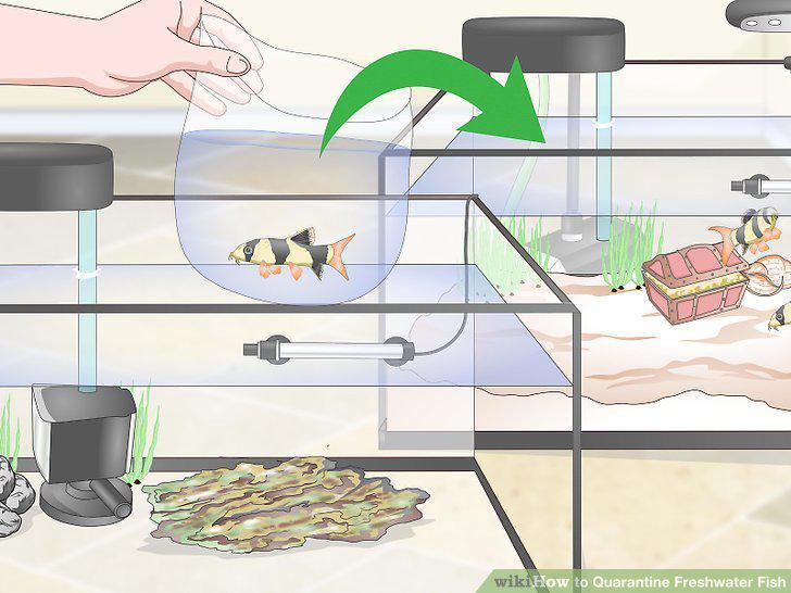 Step 9