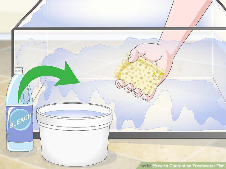 Step 10