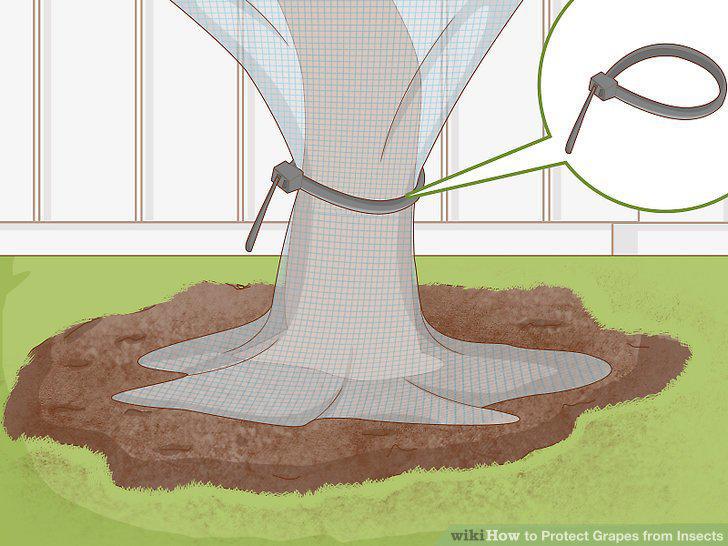 Step 4