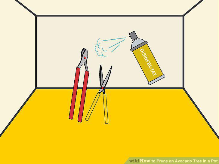 Step 5