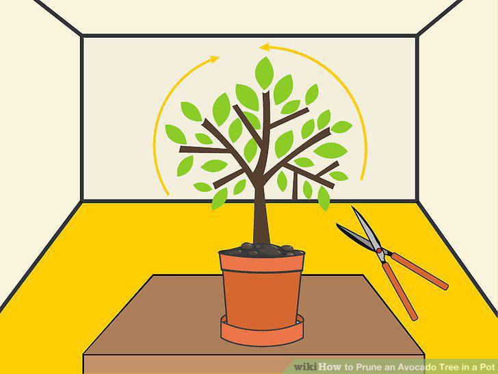 Step 9