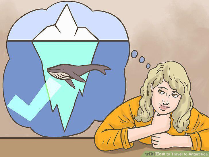 Step 12